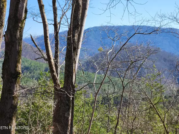 Englewood, TN 37329,Highway 39E