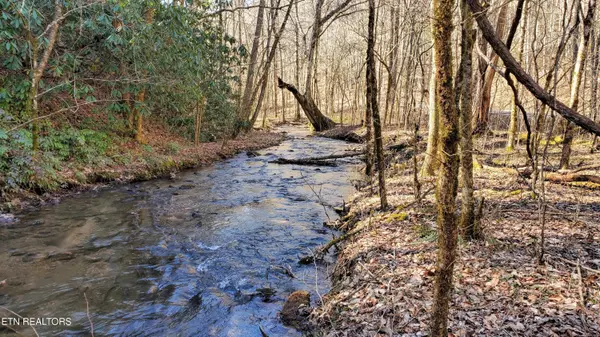 Walland, TN 37886,2000 Millers Cove Rd