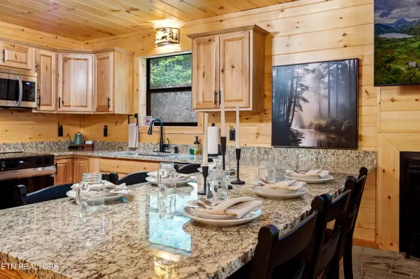 Sevierville, TN 37876,3119 Bear Mountain LN