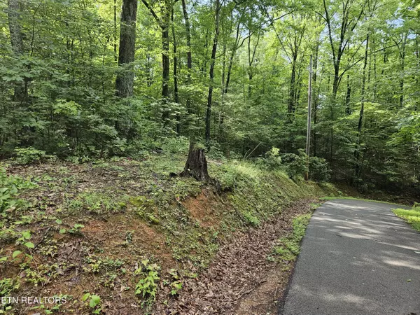 Sevierville, TN 37876,Lot 1006 N School House Gap Rd