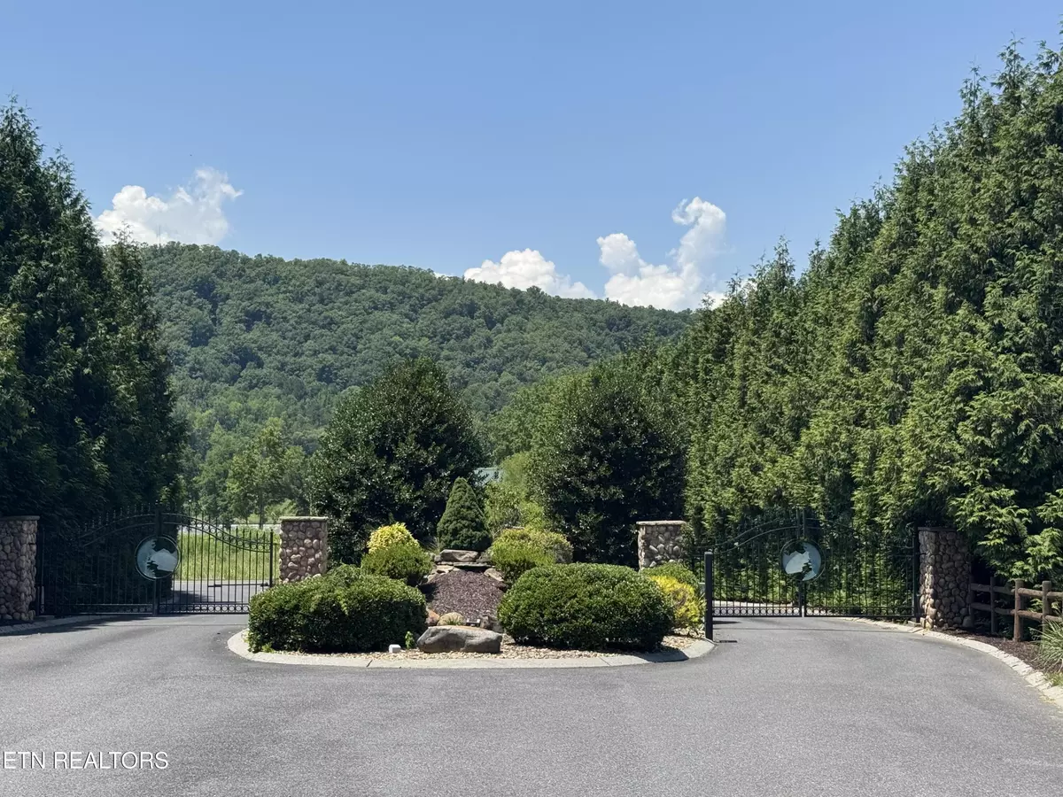 Del Rio, TN 37727,LOT 4 River Rapids Way Lot # 4