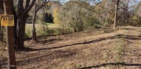 Oneida, TN 37841,145 Shelton LN