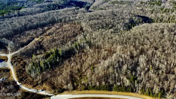 Oneida, TN 37841,Bear Creek 030 009.00 (Lot 10) Rd