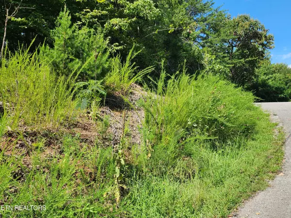 New Tazewell, TN 37825,26 lot Rockfish PT