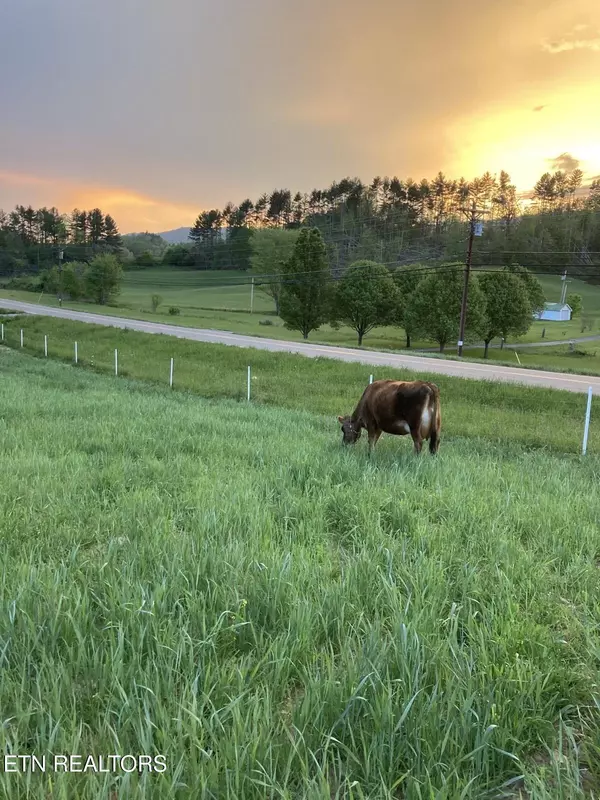 Butler, TN 37640,14135 Hwy 67 (30.82 acres)