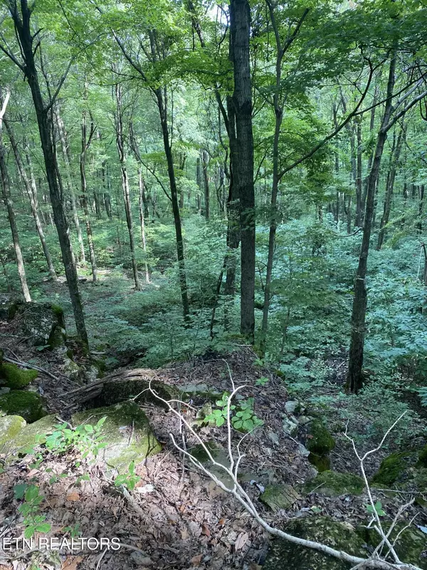 Cookeville, TN 38506,44 acres Sheep Bluff Rd