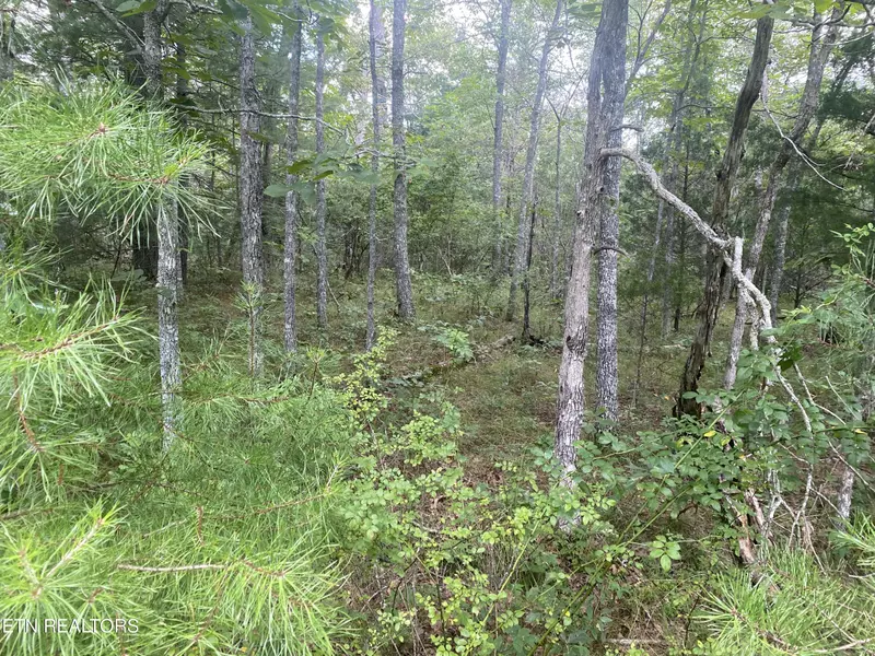 1031 Redwing DR, Crossville, TN 38572