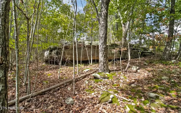 Crab Orchard, TN 37723,6436 Smith Mountain Rd