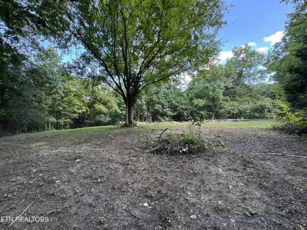 Decatur, TN 37322,1703 River Rd