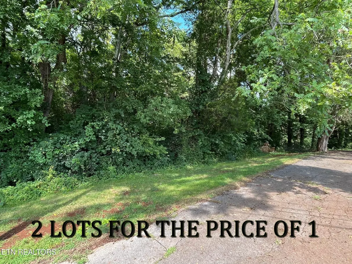 Strawberry Plains, TN 37871,Lots 14&15 West View DR