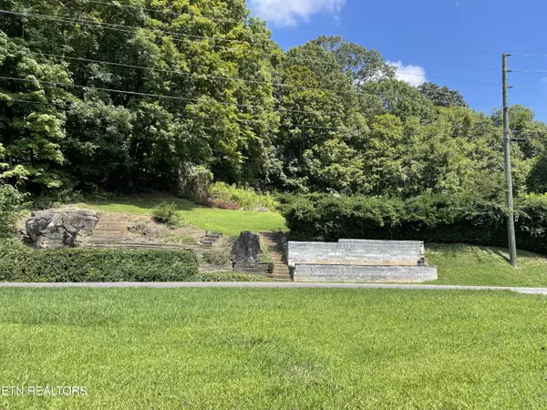 Rocky Top, TN 37769,Lovely Bluff Rd