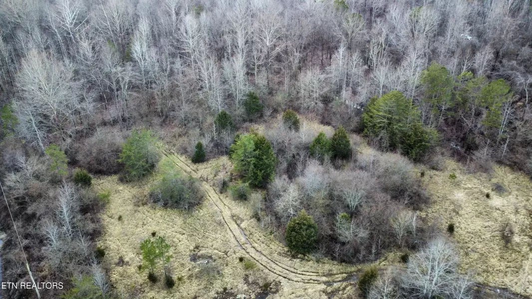 Edward Smith Rd, Robbins, TN 37852