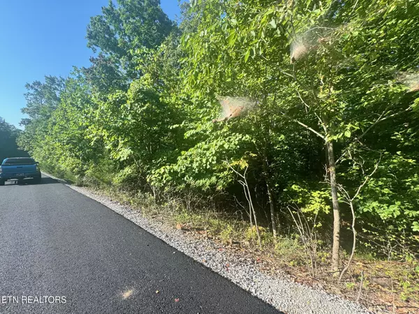 Allons, TN 38541,617 North Pointe Tr
