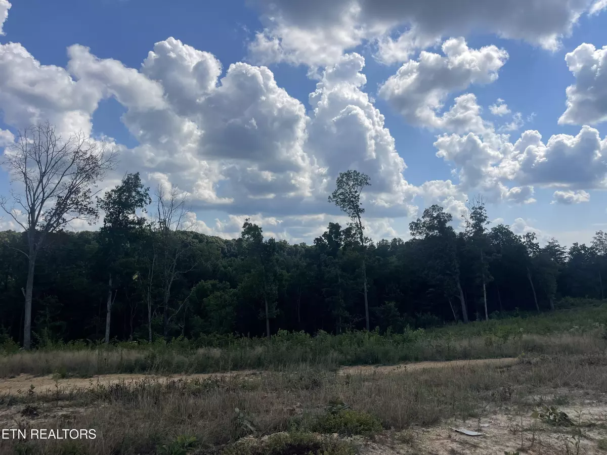 Strawberry Plains, TN 37871,Lot 18 Laura Boling Loop Rd