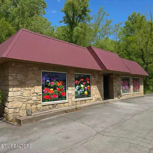 4390 Cosby Hwy, Cosby, TN 37722