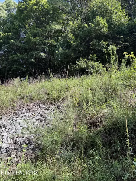 115 Hughes Hollow Rd, Philadelphia, TN 37846