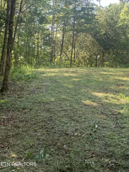 Vera LN, Dandridge, TN 37725