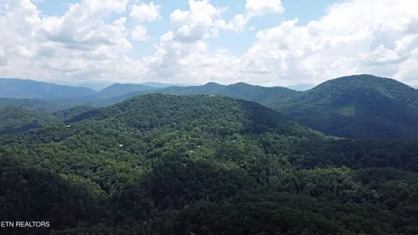 Sevierville, TN 37862,0 Flintlock LN