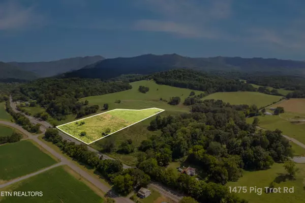 Newport, TN 37821,Lot 3 Pig Trot Rd