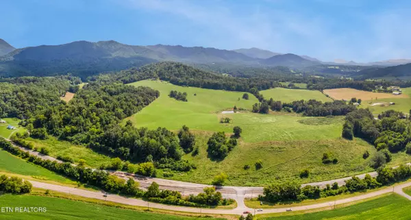 Newport, TN 37821,Lot 3 Pig Trot Rd