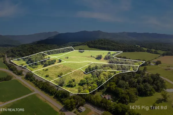 Newport, TN 37821,Lot 7 Pig Trot Rd