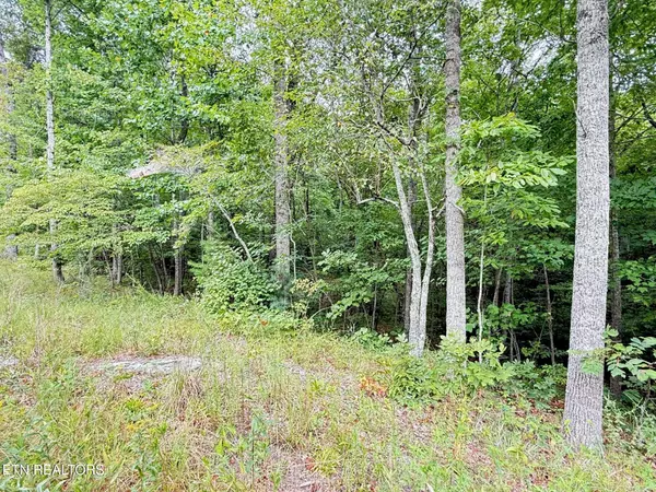 Crossville, TN 38558,543 St George DR