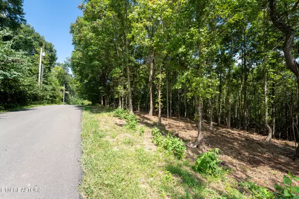 Loudon, TN 37774,115 Pinecrest DR