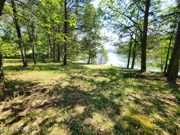 Rockwood, TN 37854,Shore DR