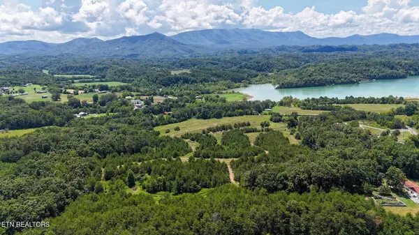 Dandridge, TN 37725,1430 Swannsylvania Rd