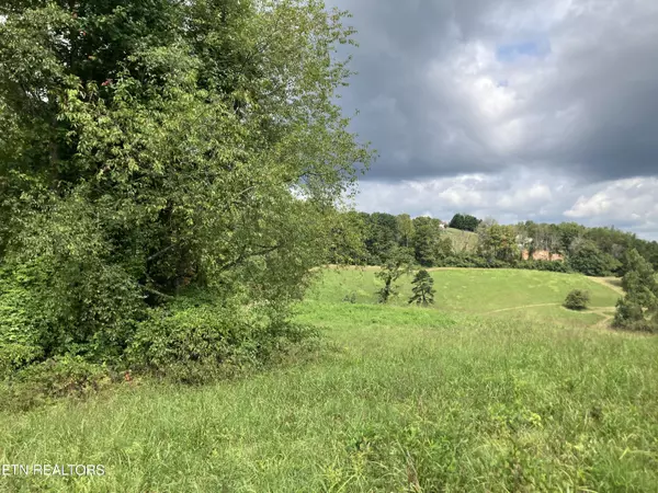 New Tazewell, TN 37825,Lot 7 Grandview LN
