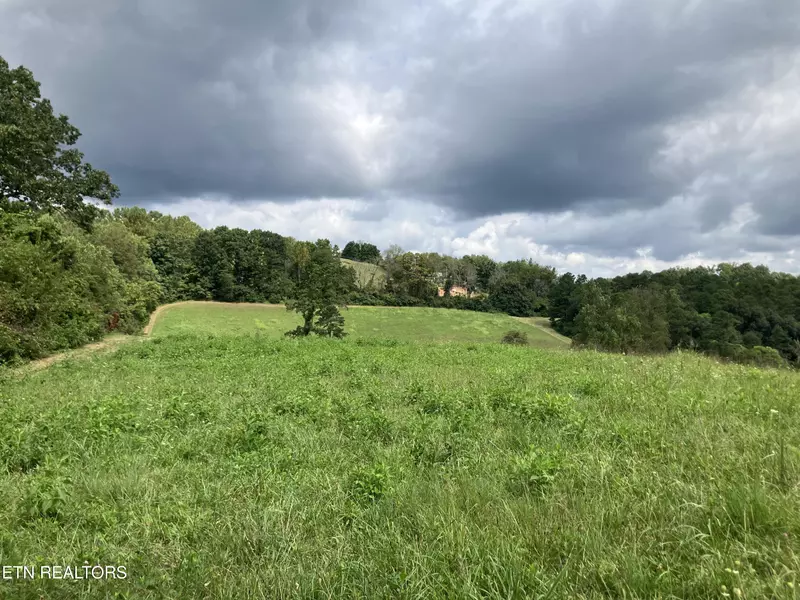 Lot 7 Grandview LN, New Tazewell, TN 37825