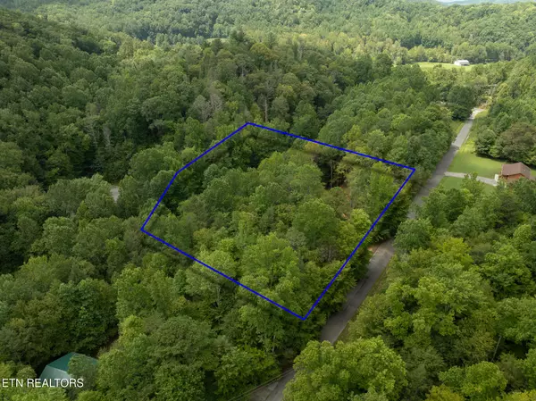 Cosby, TN 37722,Lot 5/6 Ardell Way