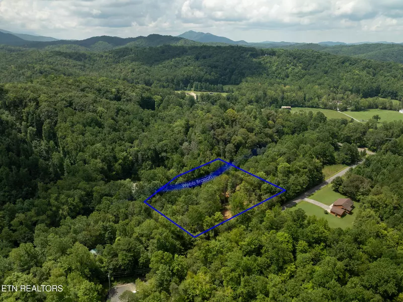Lot 5/6 Ardell Way, Cosby, TN 37722