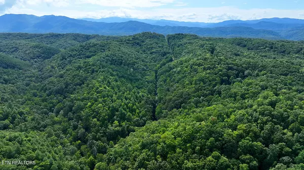 Tellico Plains, TN 37385,250 Seng Garden Rd