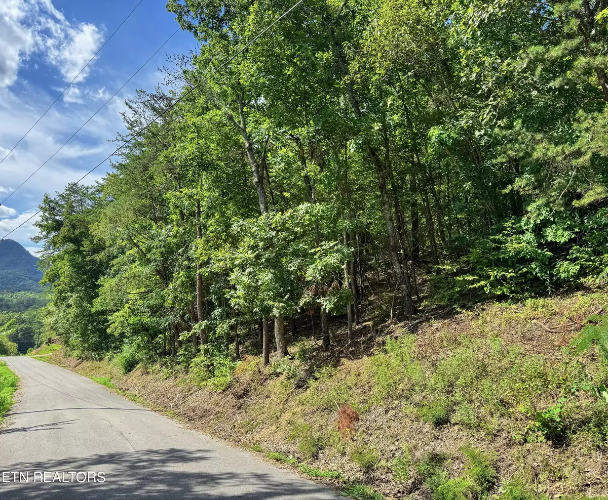 Sevierville, TN 37876,Helton Rd