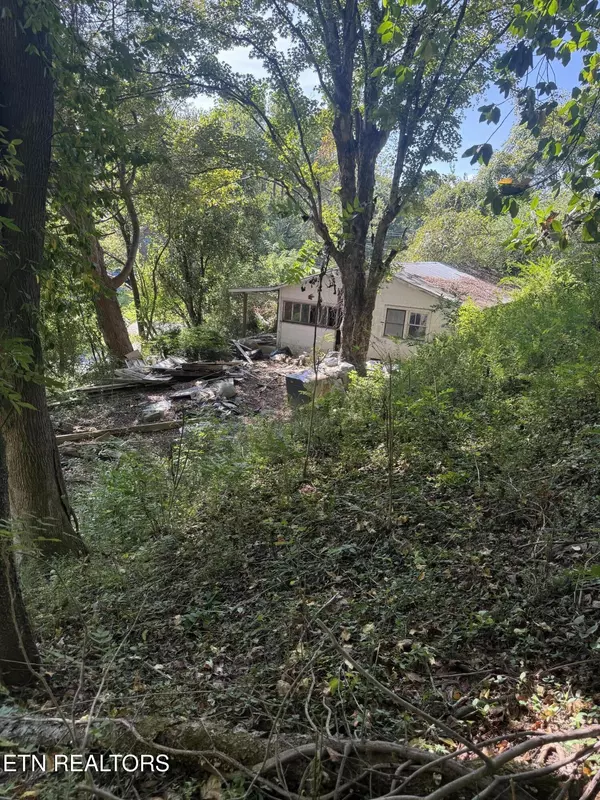 Rockwood, TN 37854,1409 Eureka Rd