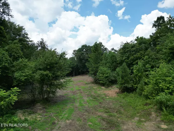 Robbins, TN 37852,Sheep Ranch Rd