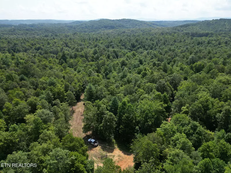 Sheep Ranch Rd, Robbins, TN 37852