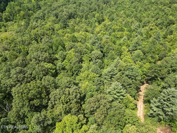 Robbins, TN 37852,Sheep Ranch Rd