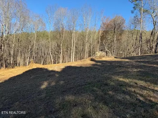 Spring City, TN 37381,Lot 22 Moon CIR