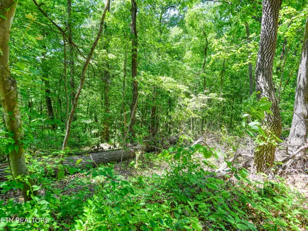 Knoxville, TN 37931,0 Koon LN