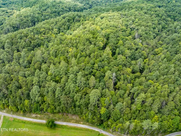 Tellico Plains, TN 37385,288 Oosterneck Rd