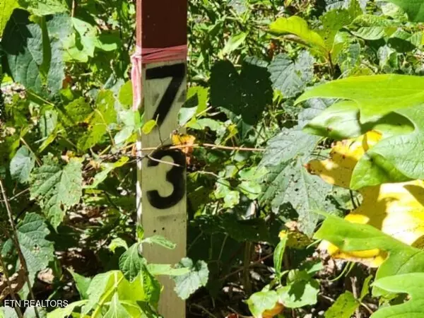 Jamestown, TN 38556,Lot 73 Tomahawk Rd