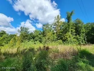 Jamestown, TN 38556,14.34ac Tomahawk Rd