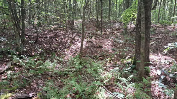 Rockwood, TN 37854,Airport Rd - Lot 18 (PCA)