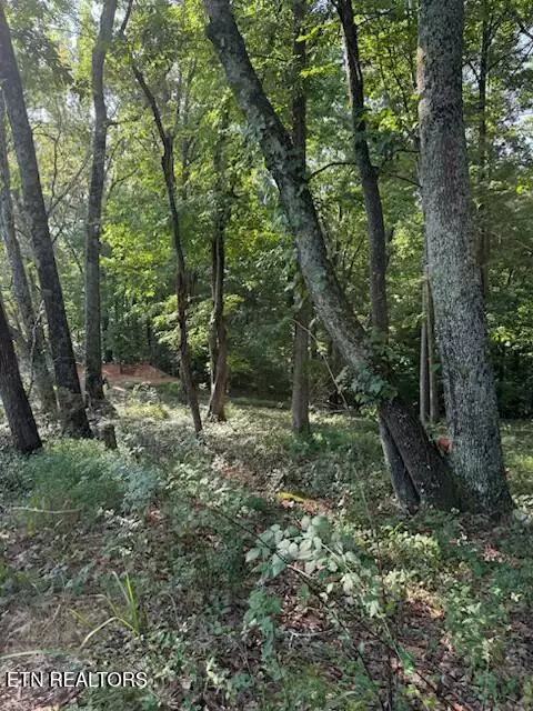 Loudon, TN 37774,17703 Vonore Rd Rd