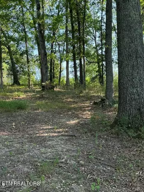 Loudon, TN 37774,17703 Vonore Rd Rd