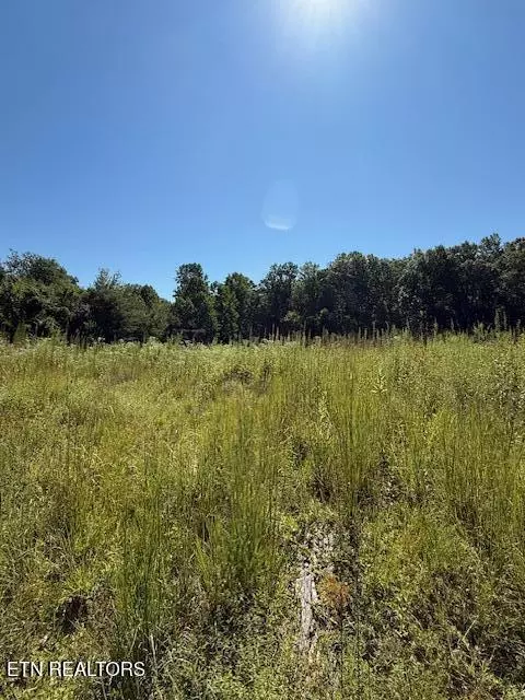 Knoxville, TN 37931,11150 Blackberry Forest WAY