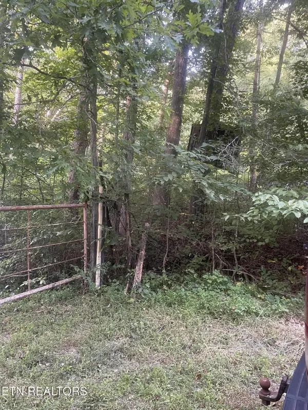 Elgin, TN 37732,3209 Scott Hwy