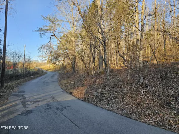 Speedwell, TN 37870,Blue Springs Rd